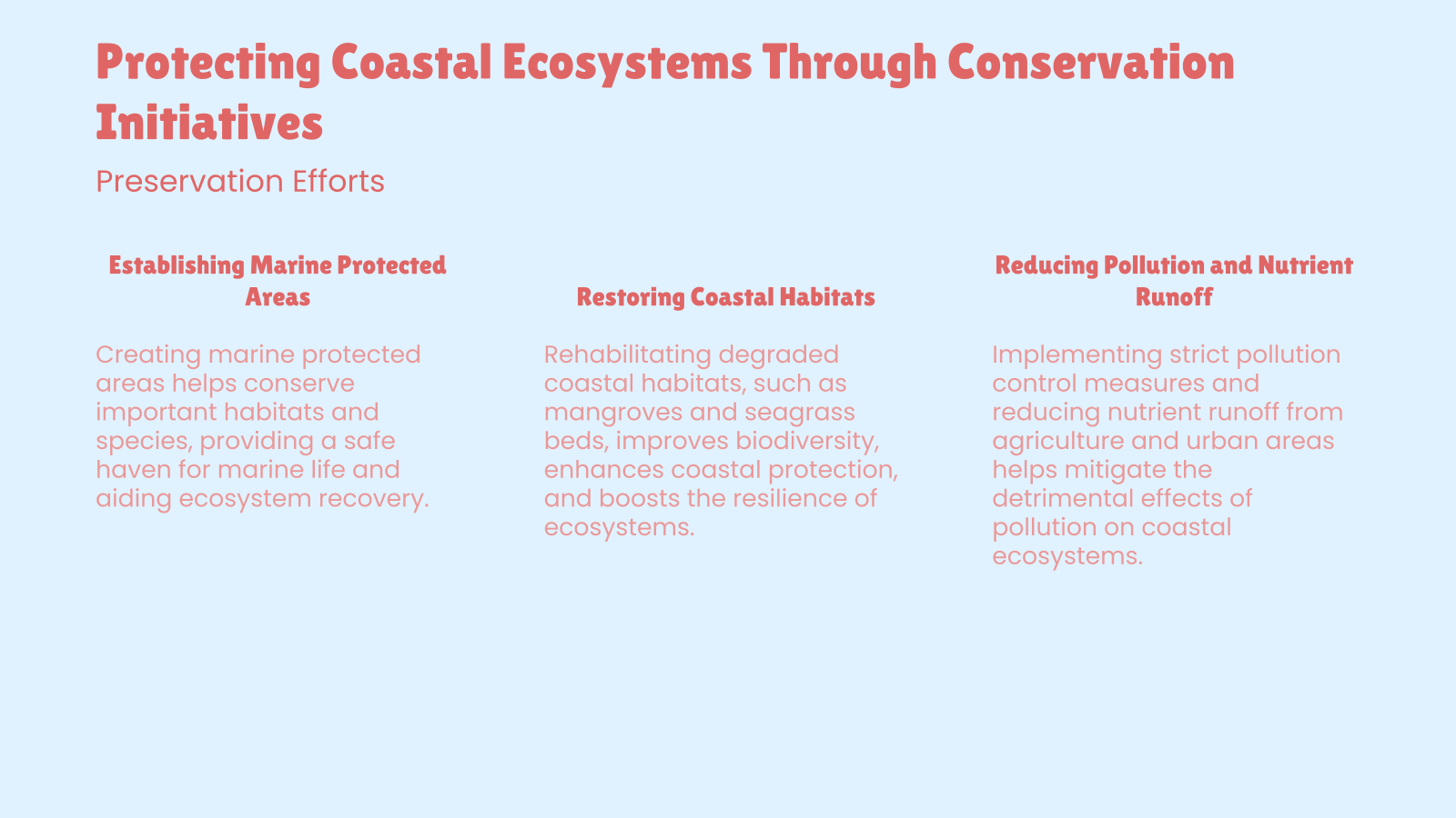 Protecting Coastal Ecosystems Through Conservation Initiatives
