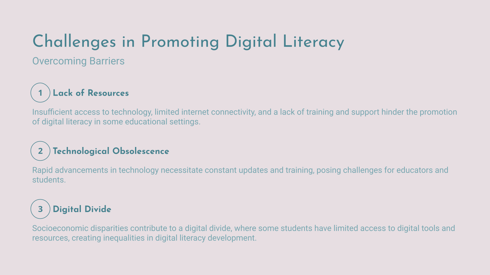 Challenges in Promoting Digital Literacy
