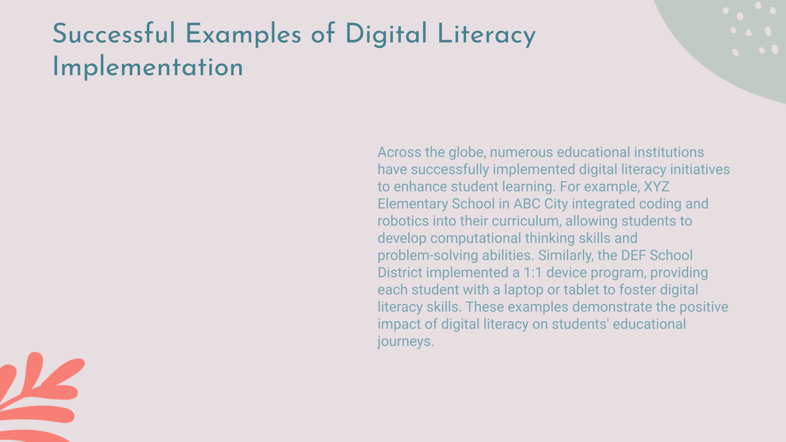 Successful Examples of Digital Literacy Implementation