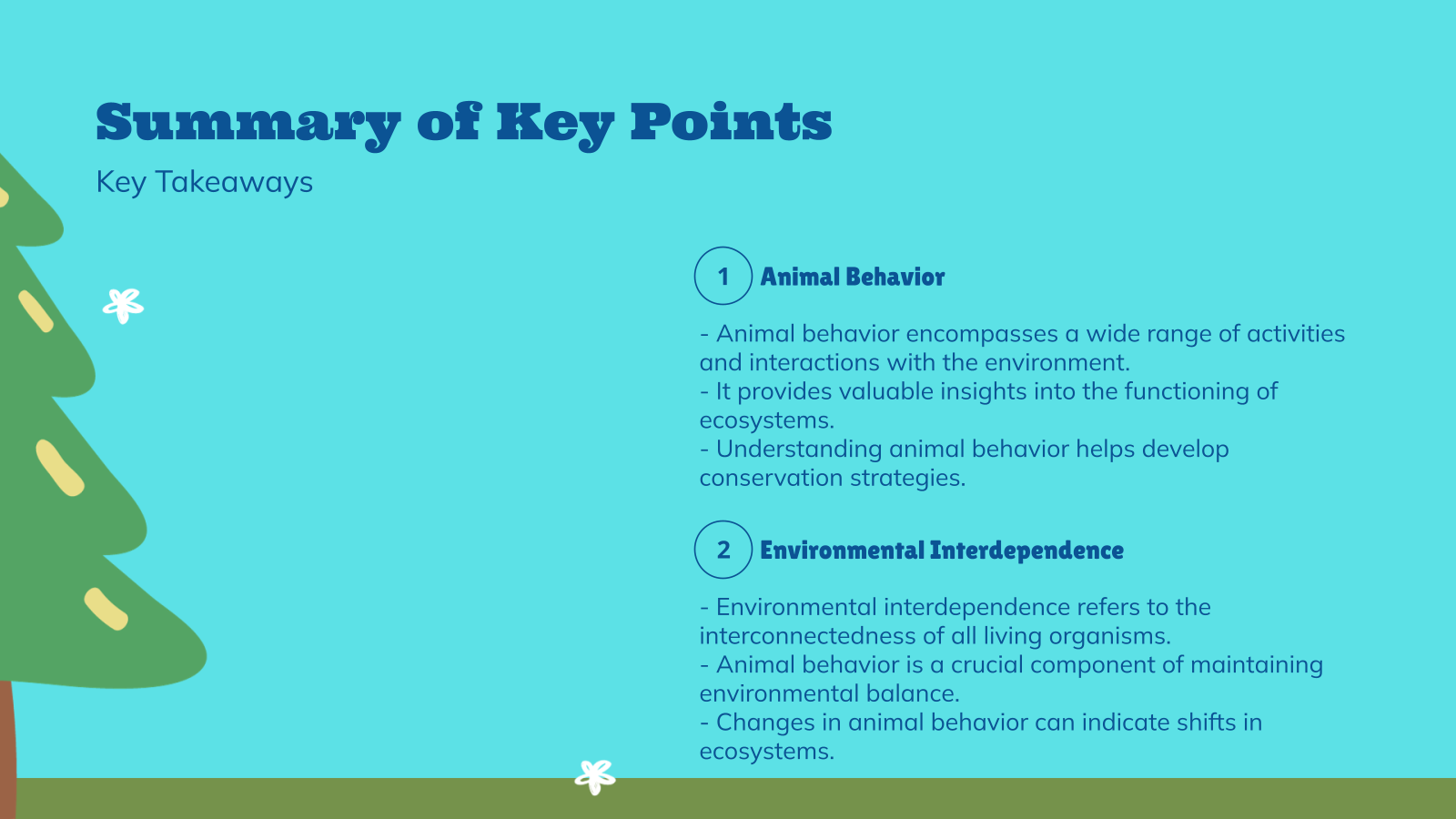 Summary of Key Points