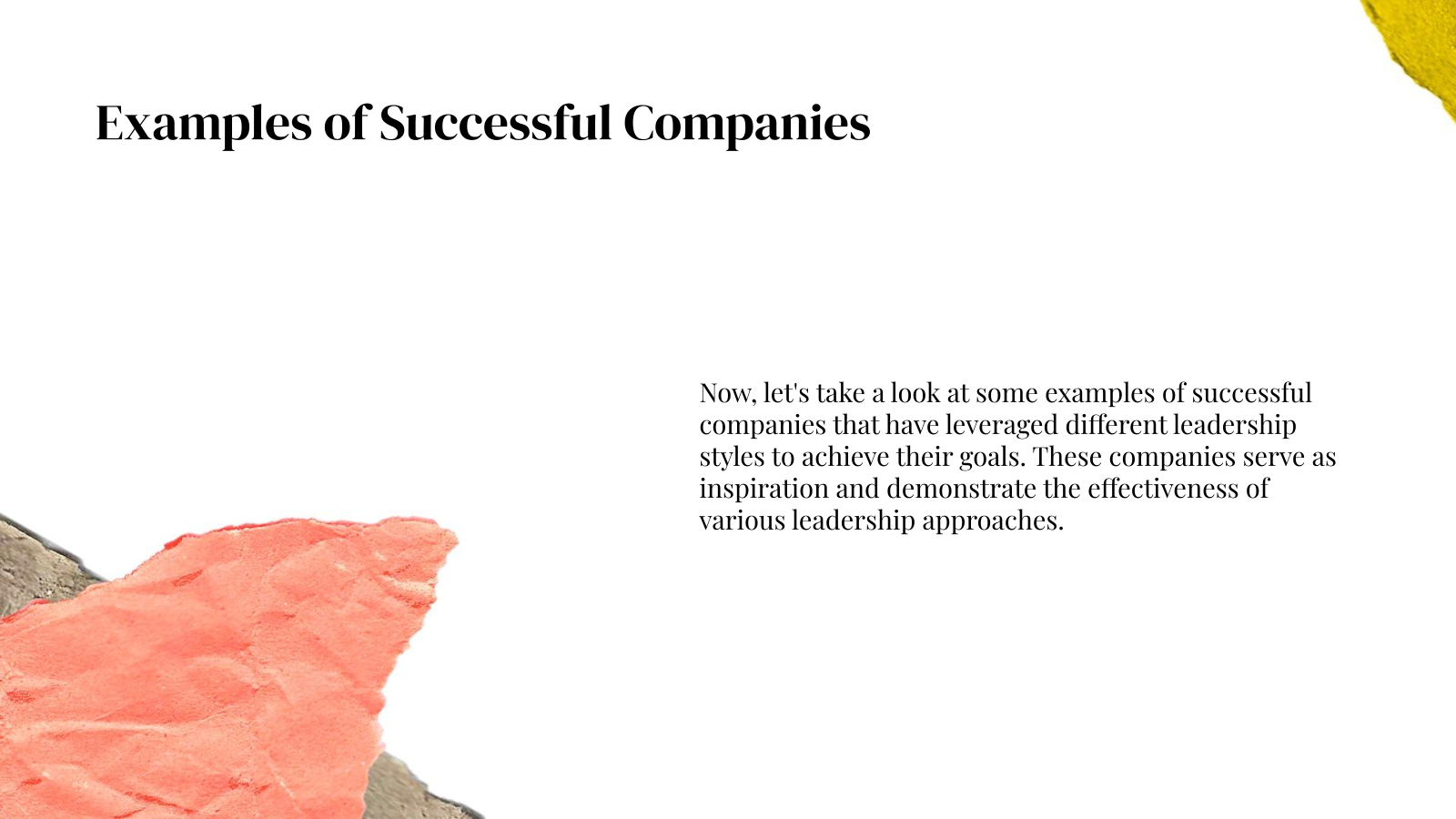Examples of Successful Companies