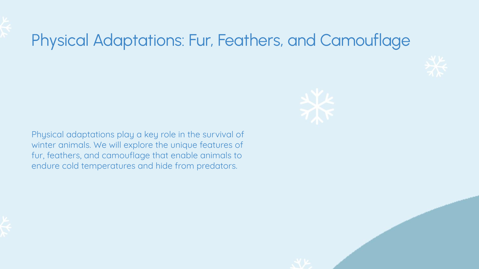 Physical Adaptations: Fur, Feathers, and Camouflage