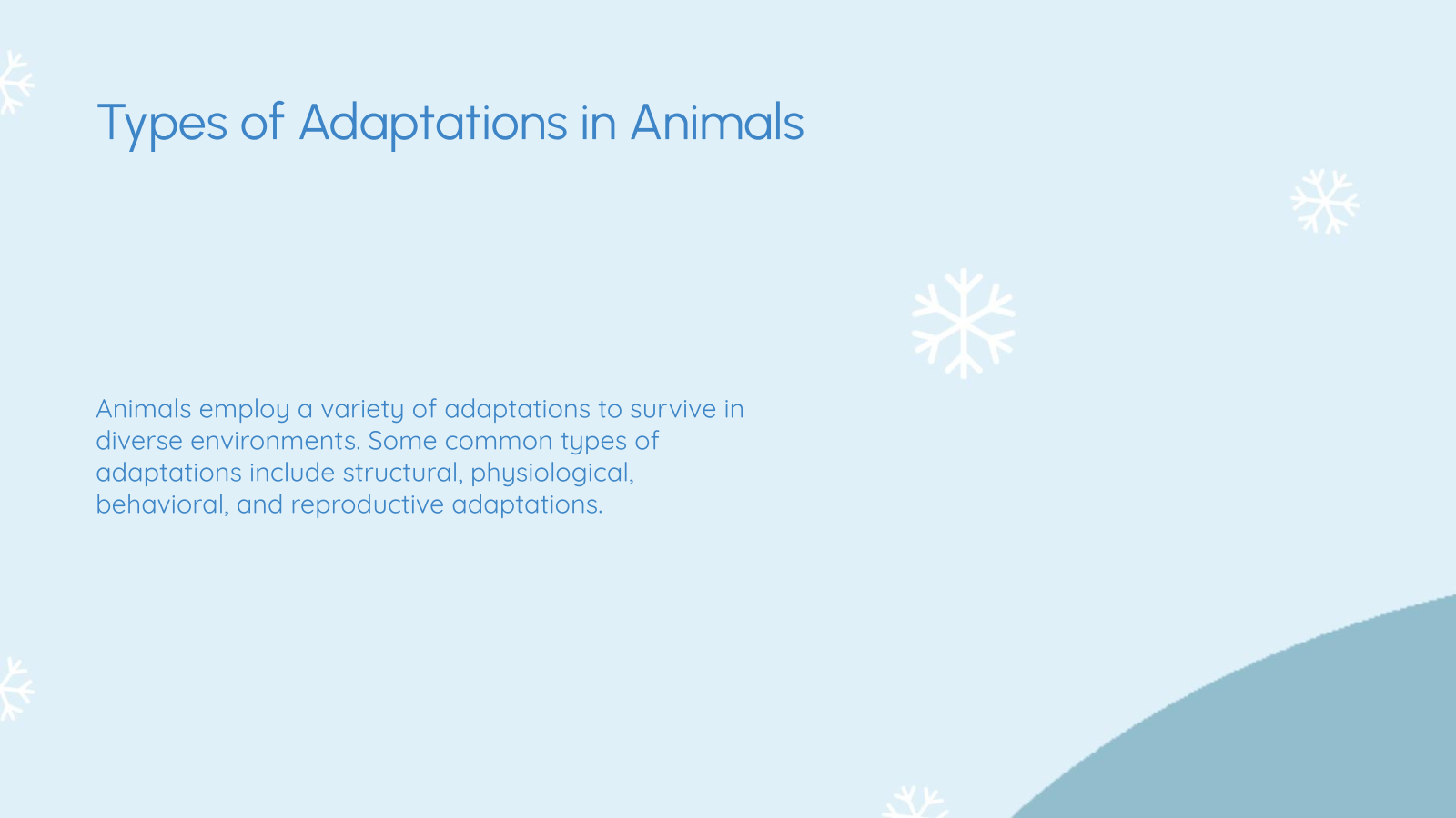 Types of Adaptations in Animals
