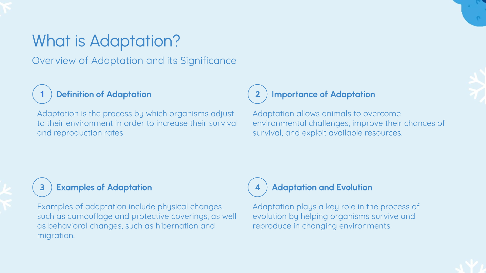 What is Adaptation?