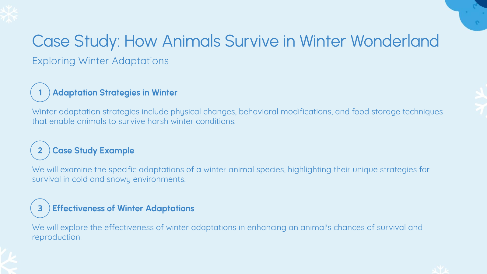 Case Study: How Animals Survive in Winter Wonderland
